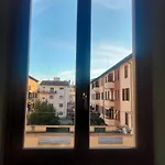 Loriana * Arezzo
