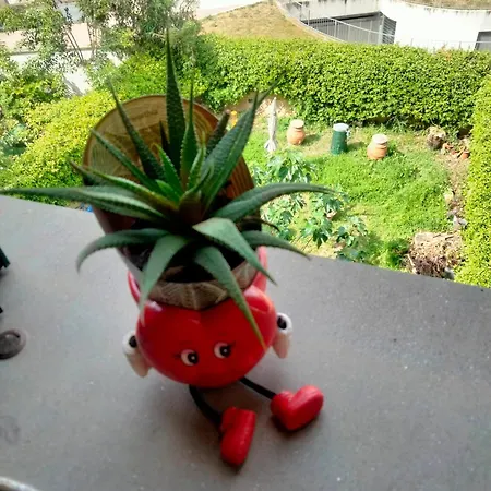 Loriana Apartman Arezzo